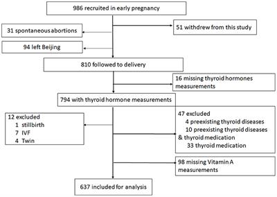 Effect of vitamin A on the relationship between maternal thyroid hormones in early pregnancy and fetal growth: A prospective cohort study